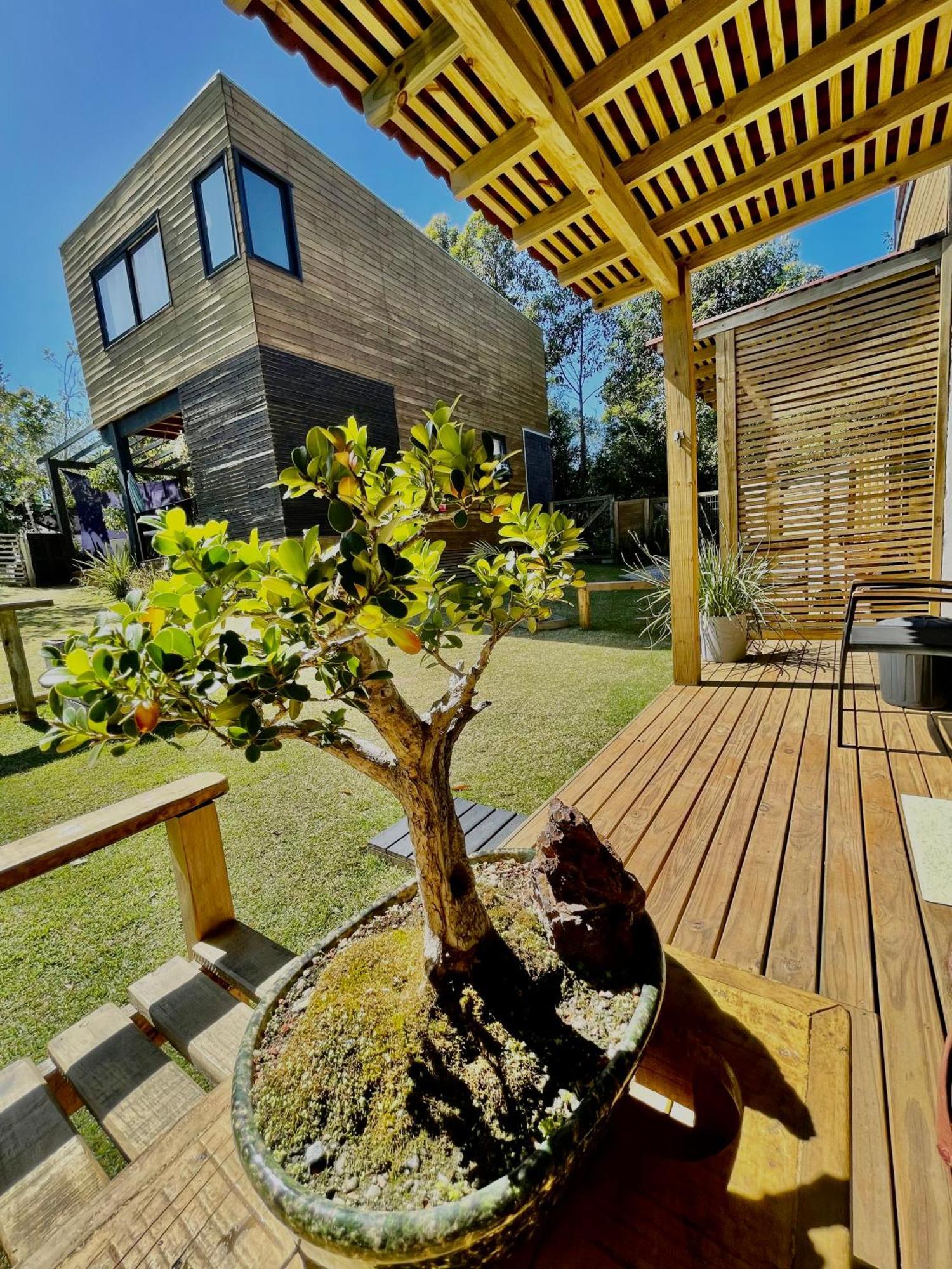 Rosa Lodge Lofts 普腊亚罗萨 外观 照片